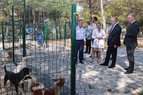 Vali Demirtaş'tan Bursa Büyükşehir Belediyesi Sokak Hayvanları Rehabilitasyon ve Tedavi Merkezi'ne Ziyaret